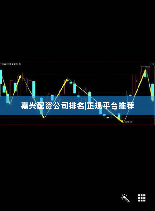 嘉兴配资公司排名|正规平台推荐